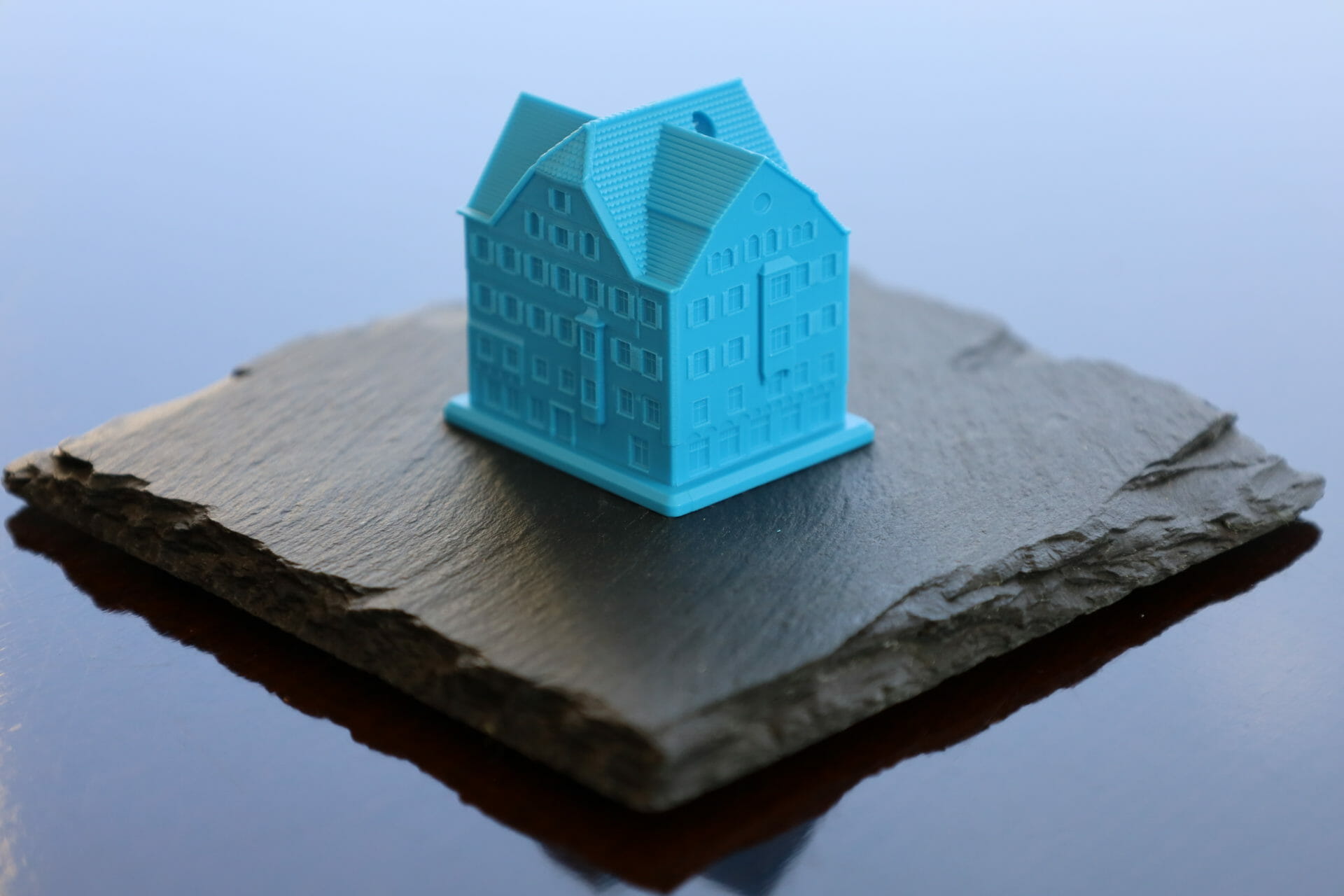 Festabzeichen Ravensburger Rutenfest 2008 - Weingartner Hof